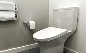 Urbani mit ili....: Da li je u ovoj zemlji zabranjeno pustiti vodu u toaletu iza 22 sata?