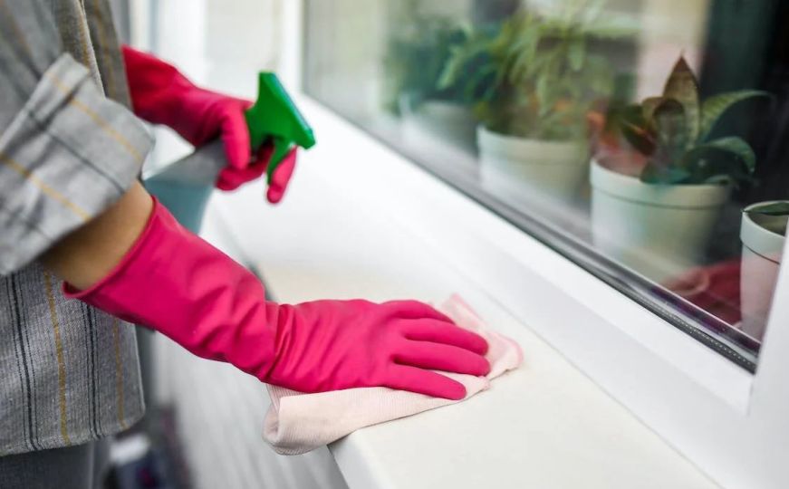 Savjet stručnjakinje: Koliko često treba brisati prašinu?