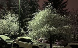 Snježna idila u Sarajevu: Predivno drveće okićeno bjelinom, poznato kada stiže promjena vremena
