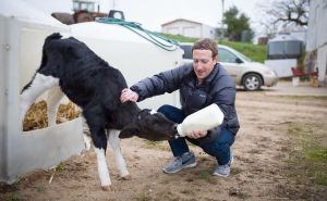 Mark Zuckerberg počeo uzgajati stoku: 'Od svih mojih projekata, ovaj je najukusniji'