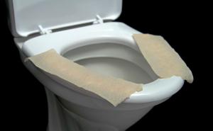 Veliko 'Ne': Evo zašto ne biste trebali stavljati papir na dasku WC školjke