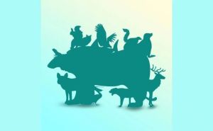 Mozgalica u kojoj mnogi pogriješe: Koliko se životinja nalazi na slici?