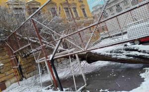 Snijeg u Sarajevu: Stablo se srušilo u dvorište škole u centru grada