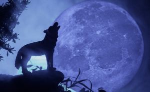 "Vučji" pun Mjesec dolazi 25. januara: Evo šta donosi svim znakovima horoskopa
