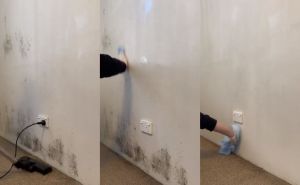 Jeftino i učinkovito: Viralni trik čišćenja buđi sa zidova oduševio sve