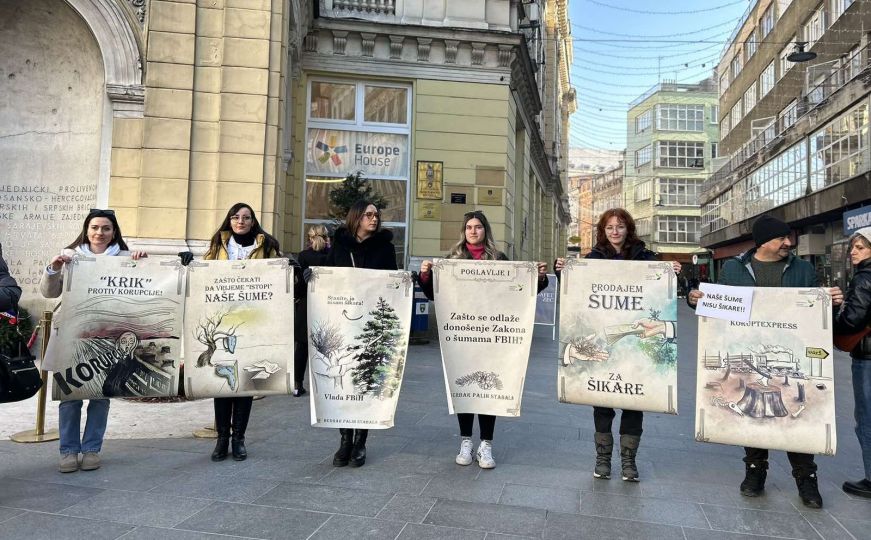 Mirni protesti u Sarajevu: Građani složni - 'treba zakon o šumama u FBiH'