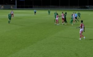 Neviđeni haos: Prekinuta prijateljska utakmica između Crvene Zvezde i Boteva zbog tučnjave fudbalera