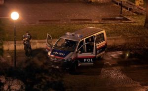 Bosanac napravio haos u Beču: Povrijedio pet policajaca