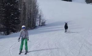 Skijaš snimio nevjerojatan video na stazi: 'Ljudi, spuštamo se, a taj veliki stvor juri za nama'