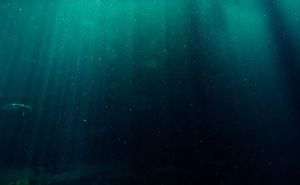 Naučnici u najdubljoj tački na Zemlji pronašli nešto šokantno: Ovo se nalazilo na dnu okeana