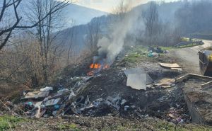 Vatrogasci iz BiH na visini zadatka: Spriječili katastrofu pa spasili životinju