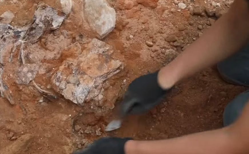 Arheolozi fascinirani novim otkrićem: Ovo je staro 240 miliona godina