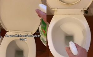 Ovu grešku mnogi prave kada čiste WC školjku: Pogrešno koristite ovaj proizvod