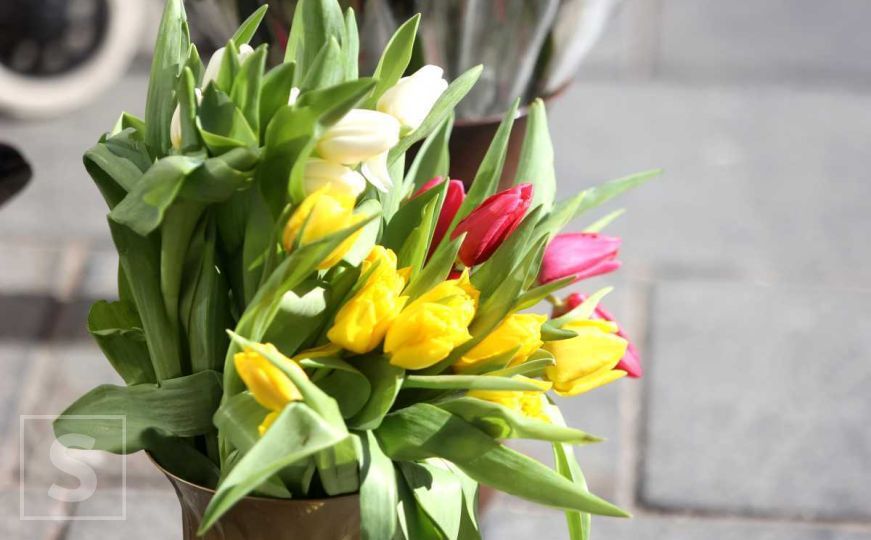 Znate li koja je simbolika iza poklanjanja cvijeća za Dan žena?