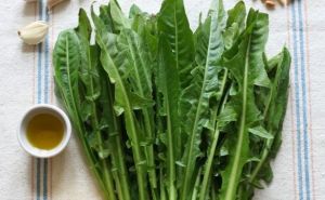 Okusi prirode: Evo kako napraviti zdravu salatu, čaj i sok od ove biljke