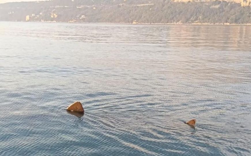 Morski pas uočen u Jadranskom moru, druga najveća riba na svijetu
