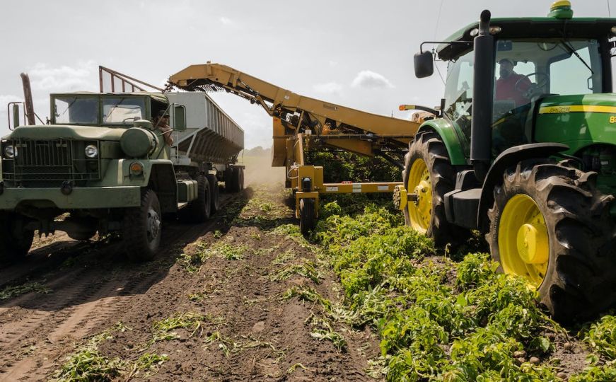 Poljoprivrednici u FBiH suočavaju se s krizom: Farme se gase, prozvodnja pada
