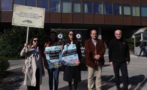 Aktivisti uputili apel ispred Vlade FBiH, evo šta traže