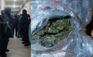 Još jedna policijska akcija u u BiH: Oduzeto oko 630 grama marihuane, jedna osoba uhapšena