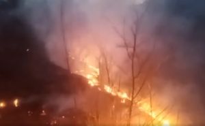 Pogledajte snimak požara kod Bjelašnice: Vatrogasci se bore s ogromnom vatrenom linijom