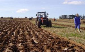 Poljoprivrednici u FBiH: Domaća proizvodnja može zadovoljiti 80 posto potreba stanovništva