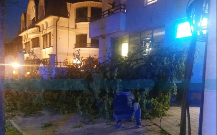 Oluja u Banjoj Luci: Vjetar srušio dio drveta na dva automobila