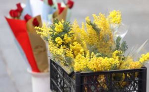 Iskusni cvjećari savjetuju: Uradite ovih pet stvari i cvijeće će vam trajati duže