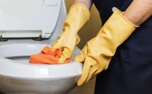 Napravite sami kocku za čišćenje wc školjke: Potrebno je samo nekoliko sastojaka