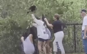 Snimak razbjesnio svijet: Grupa ljudi zlostavljala i uznemiravala medvjediće zbog - selfieja