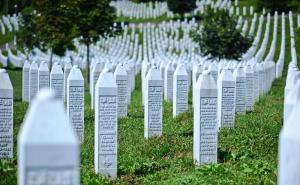 Profesor Rosensaft poziva na priznanje genocida u Srebrenici - Jevreji jedinstveni u podršci BiH