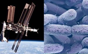Bakterija na ISS-u mutirala u nešto što nikad nismo vidjeli na Zemlji?