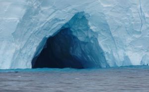 Novo oktriće na Antarktiku: Šokirat će vas kad vidite šta je u pitanju