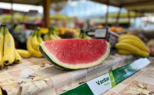 Stigle su prve lubenice: Saznajemo odakle dolaze i po kojoj cijeni se prodaju u BiH