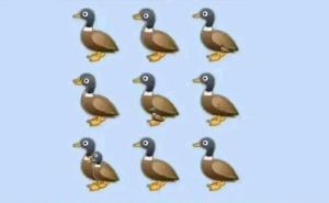 Mozgalica koja je zbunila korisnike na platformi X: Koliko je patki na ovoj ilustraciji?