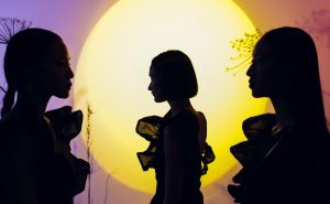 Ova tri znaka će do kraja 2024. godine doživjeti dramatične prekretnice u životu