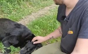 Garo spasio život mladiću Dariju: Priča iz BiH pokazuje da je pas čovjeku najbolji prijatelj