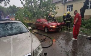 Tragedija u Srbiji: U Somboru u jakom nevremenu poginula žena