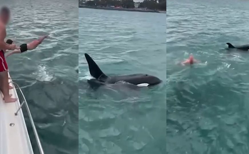 Nevjerovatan video: Skočio na kita ubicu, prijatelji s broda sve snimali i navijali