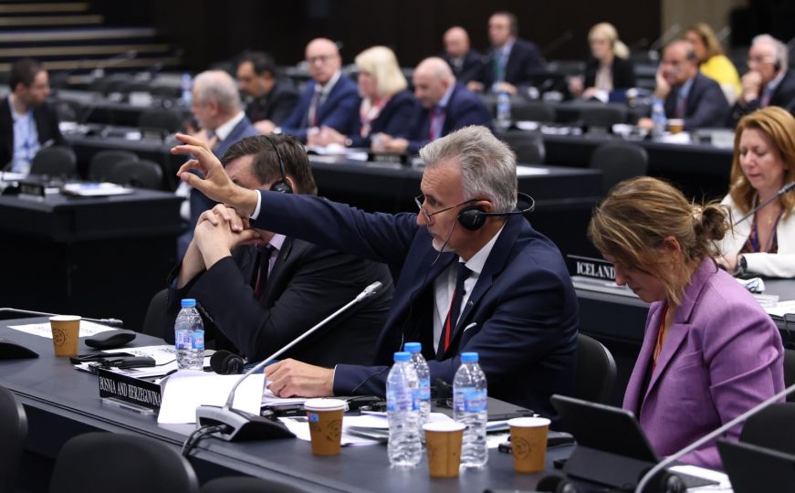 Delegacija PSBiH na NATO zasjedanju: Razmatrano unapređenje statusa naše države