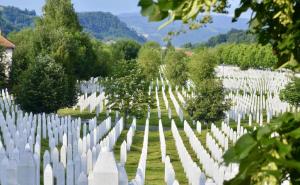 Oglasili se iz Amerike: Pozdravili glasanje za Rezoluciju i osuđuju saslušanje Suljagića i Bajrovića