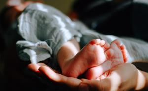 Velika tragedija: Bebu usmrtio porodični pas dok je spavala u krevetiću