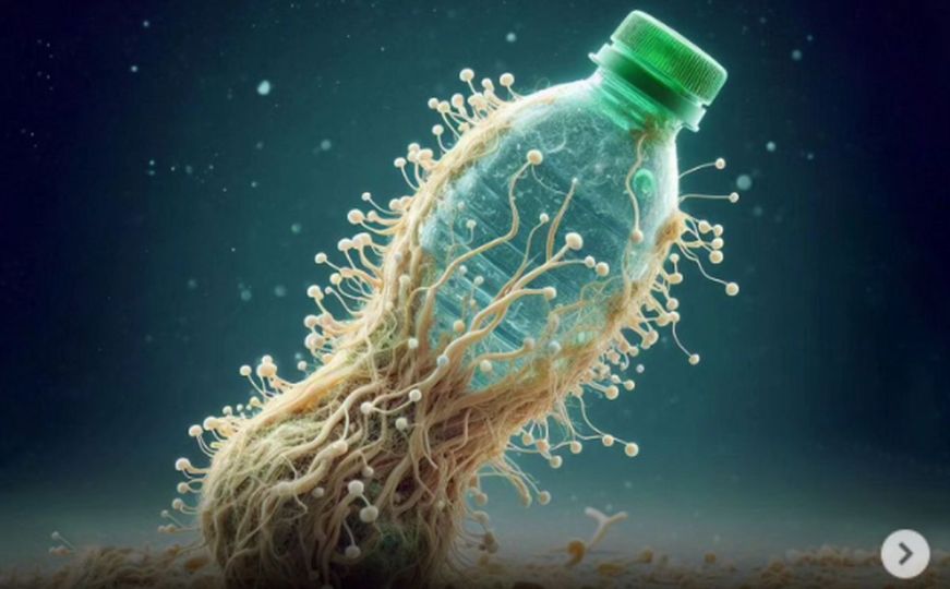Nova nada u borbi za spas okoliša: Otkrivena gljiva koja razgrađuje plastiku u okeanima