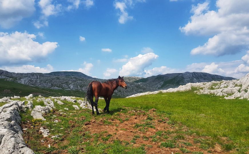Da li znate gdje se nalazi, po mnogima, najljepši planinski greben u Bosni i Hercegovini?