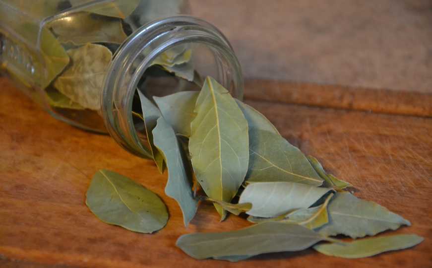 Lovorov list i maslinovo ulje: Isprobajte ovaj recept