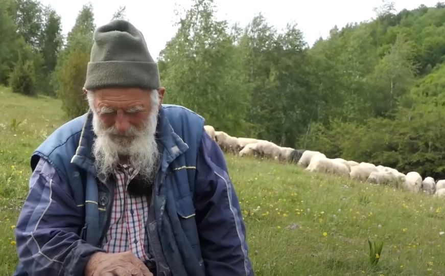 Najstariji ovčar na Rostovu: Nedo (91) ne planira odustati od svoje ljubavi prema ovcama