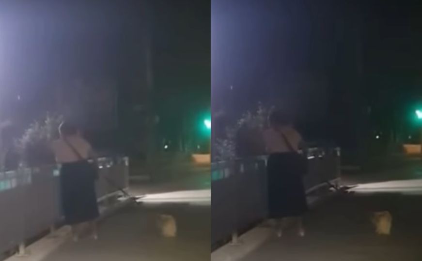 MUP KS potvrdio: 'Pronađena žena koja je bacala žardinjere s mosta'