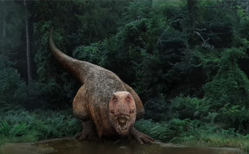 Ovih 5 stvari o slavnom T. rexu nije tačno: Mnogo ljudi vjeruje u njih