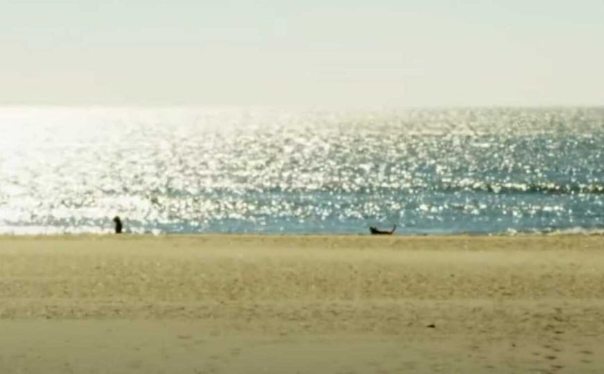 Šetao psa na plaži, a onda ostao iznenađen onim što je vidio: Pogledajte šta je izvirivalo iz zemlje