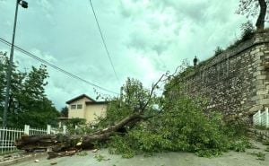 Zbog olujnog nevremena u Sarajevu palo drvo sa Žute tabije