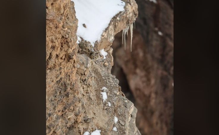 Misteriozni snježni leopard: Zašto je ova fotografija postala fenomen na internetu?